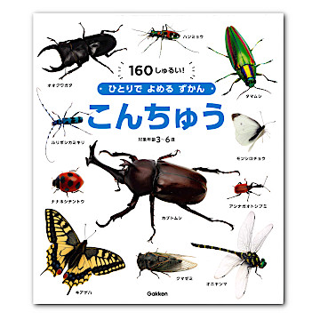 ひとりでよめるずかん「こんちゅう」：本・絵本：百町森