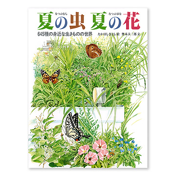 夏の虫 夏の花：本・絵本：百町森